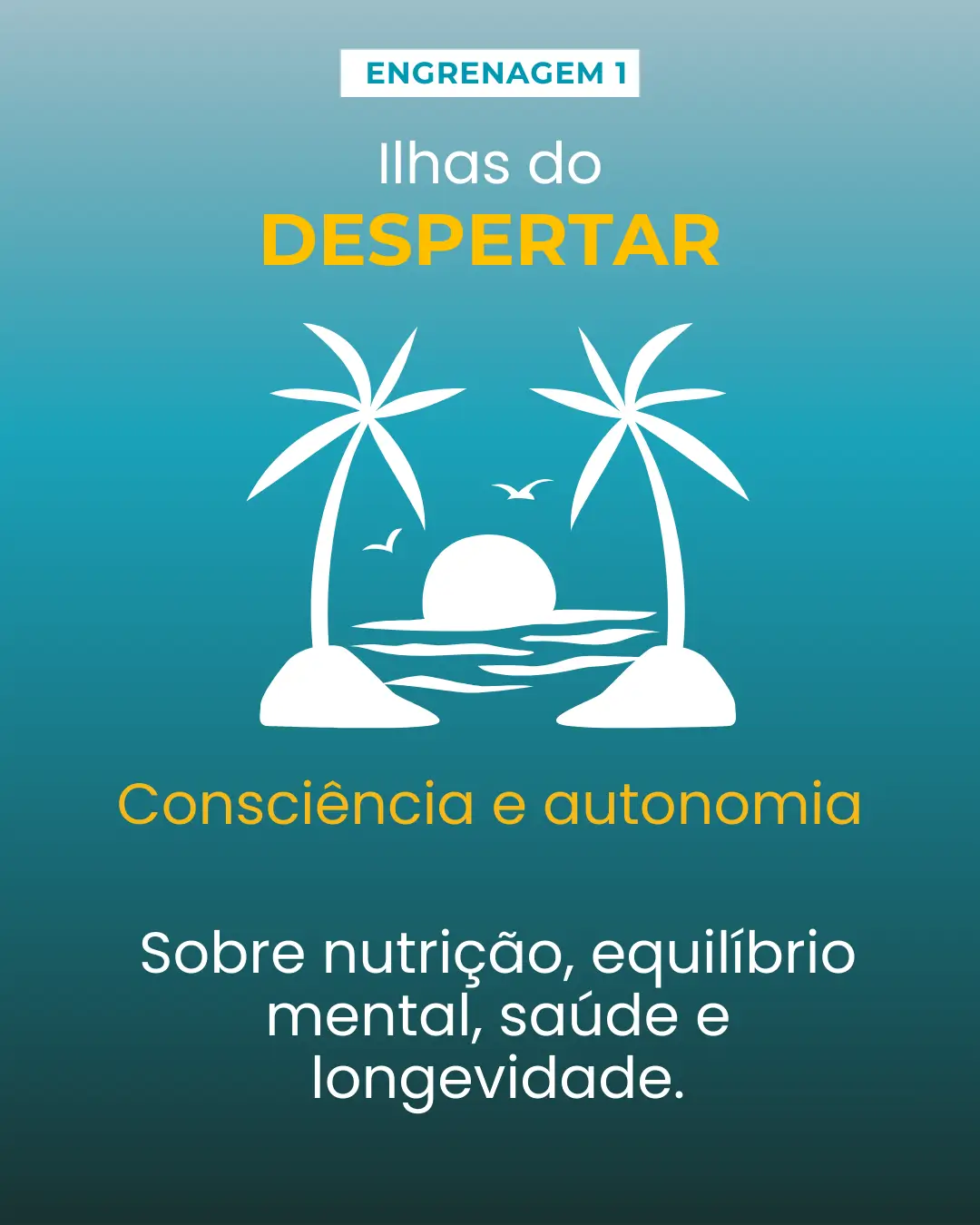 bussula 2
