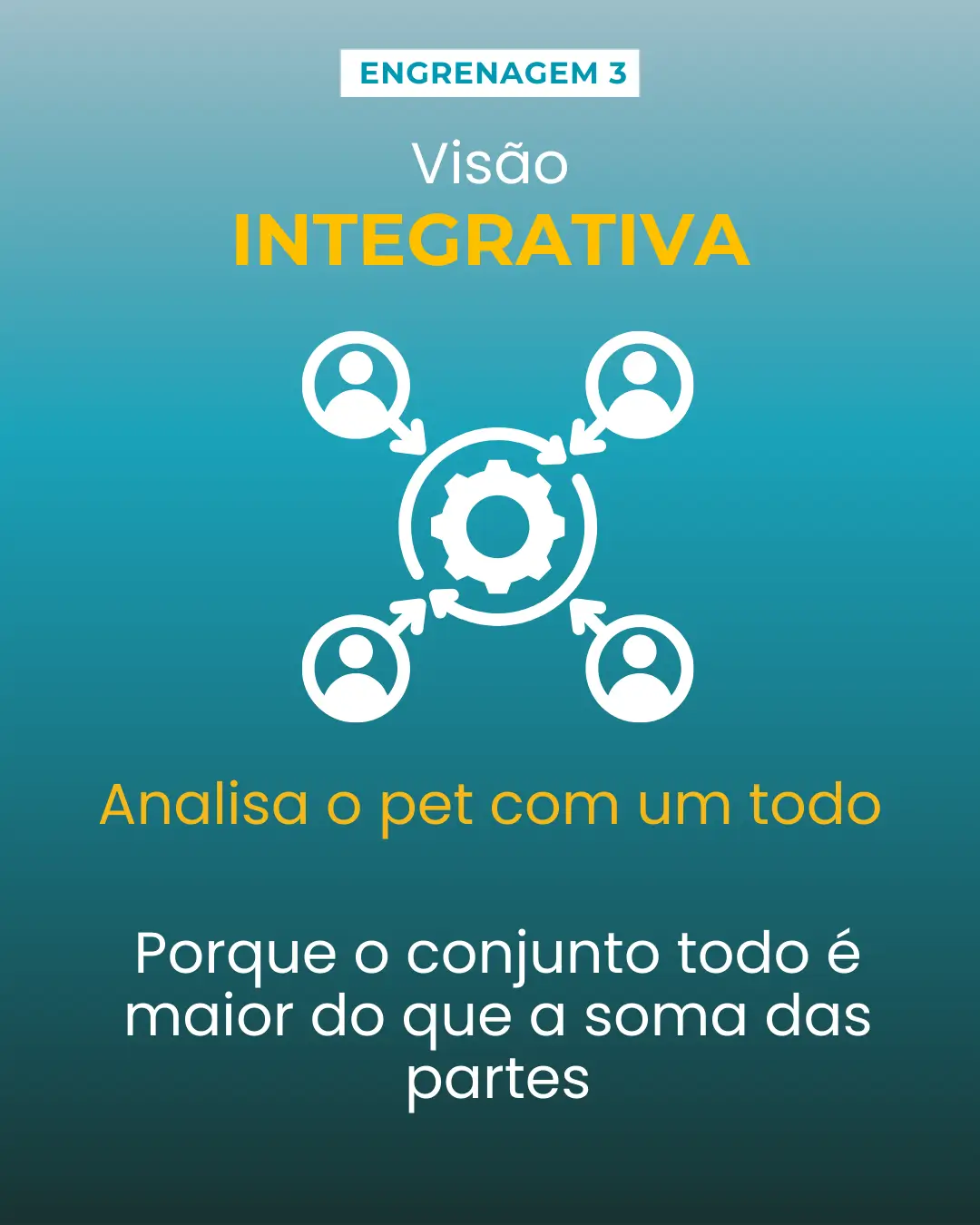 bussula 4