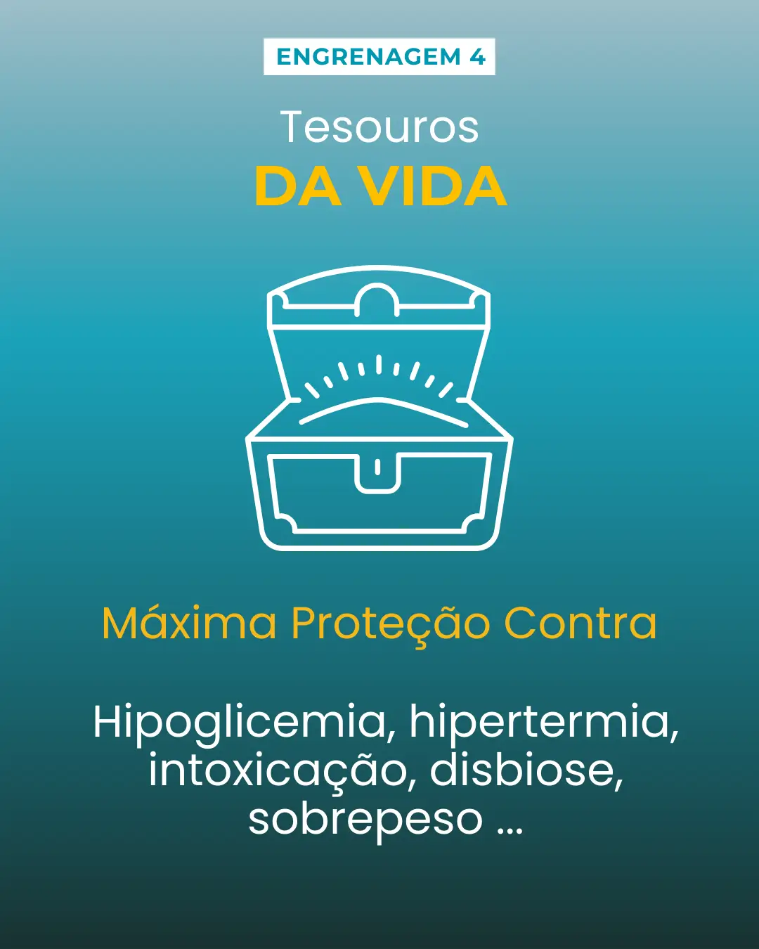 bussula 5